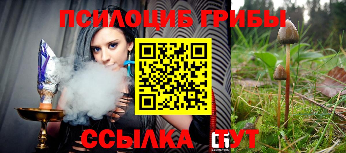 Галлюциногенные грибы мухоморы Заинск