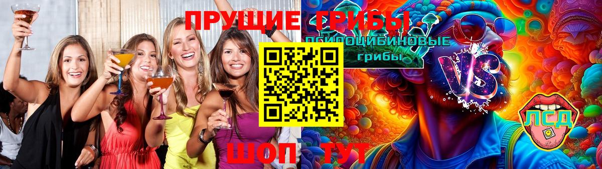 Псилоцибиновые грибы Psilocybe  Вход с VPN  магазин  наркотиков  Заинск 